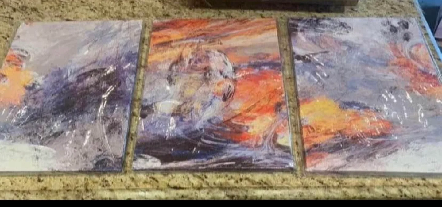 3 Piece Abstract Canvas Wall Art image indicator(3)