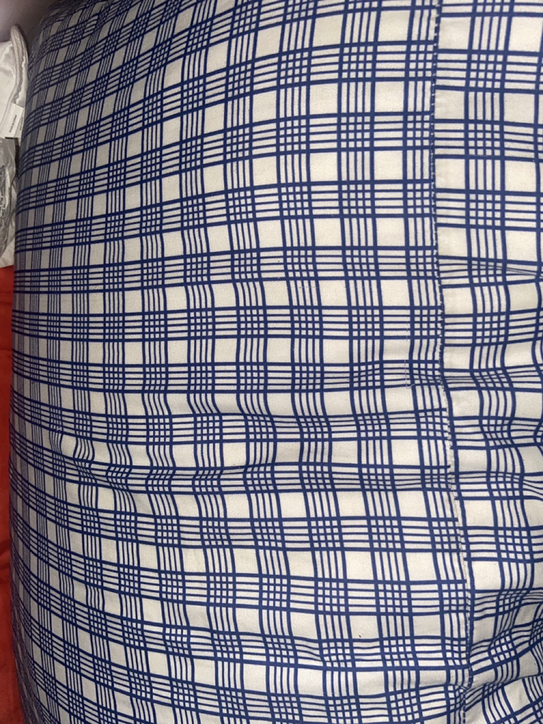 Blue and White Plaid Pillow Cover
