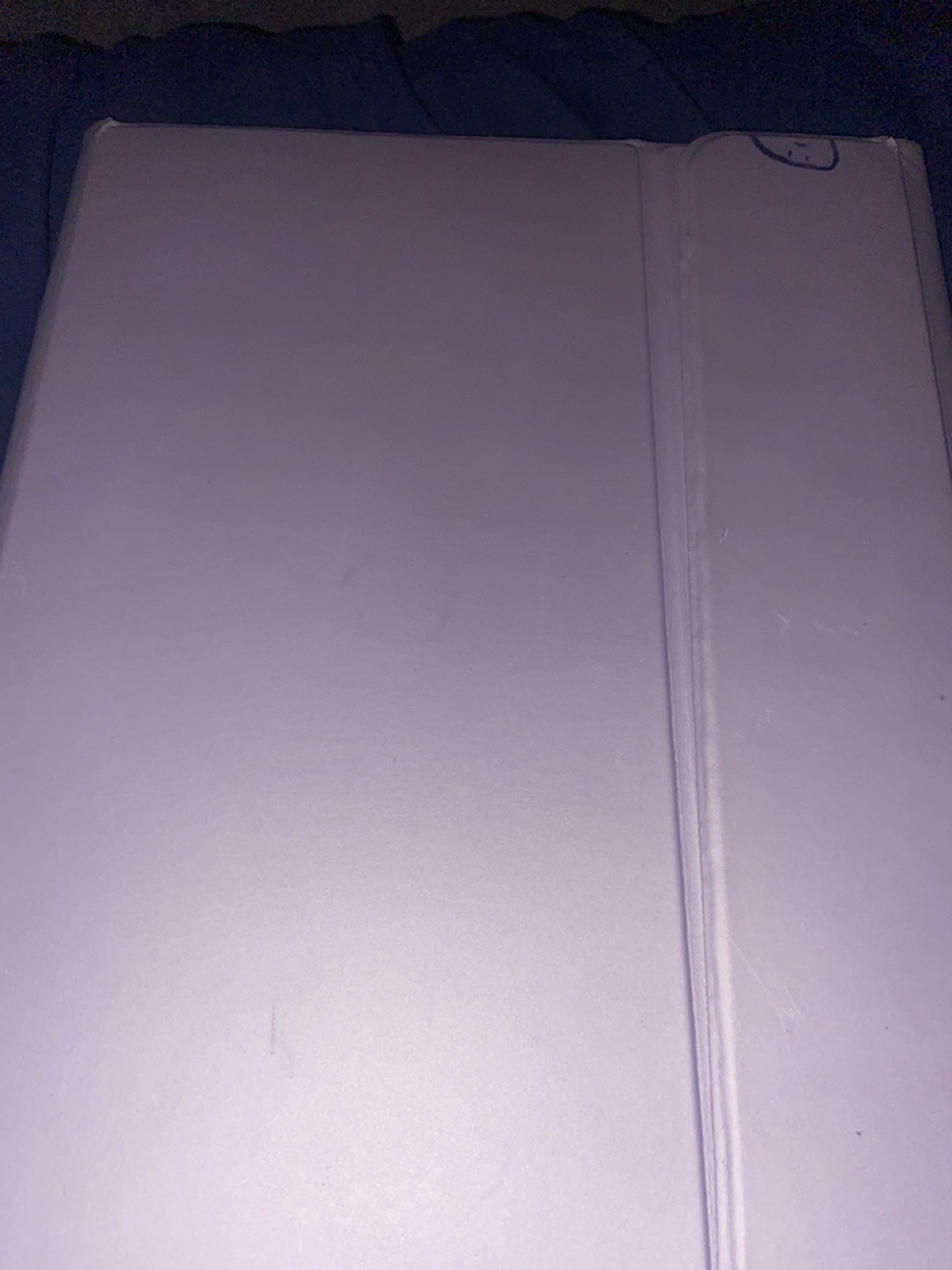 Purple iPad Case