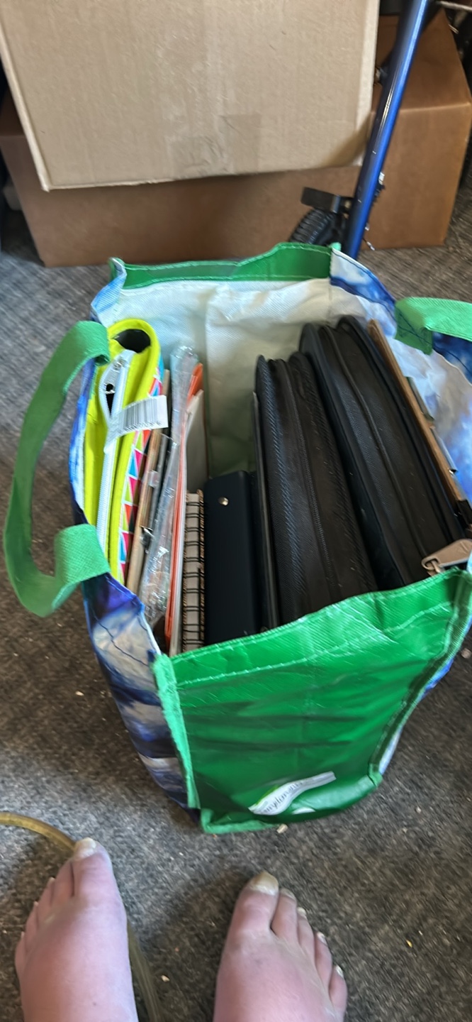 Reusable Shopping Bag