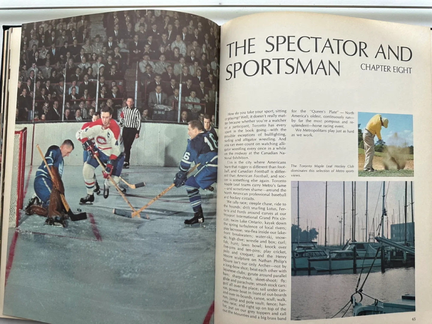 Toronto-related books image indicator(6)