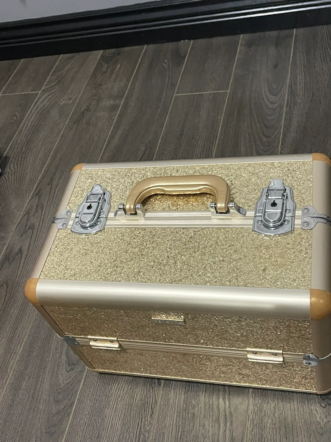 Sephora train case RARE image indicator(2)