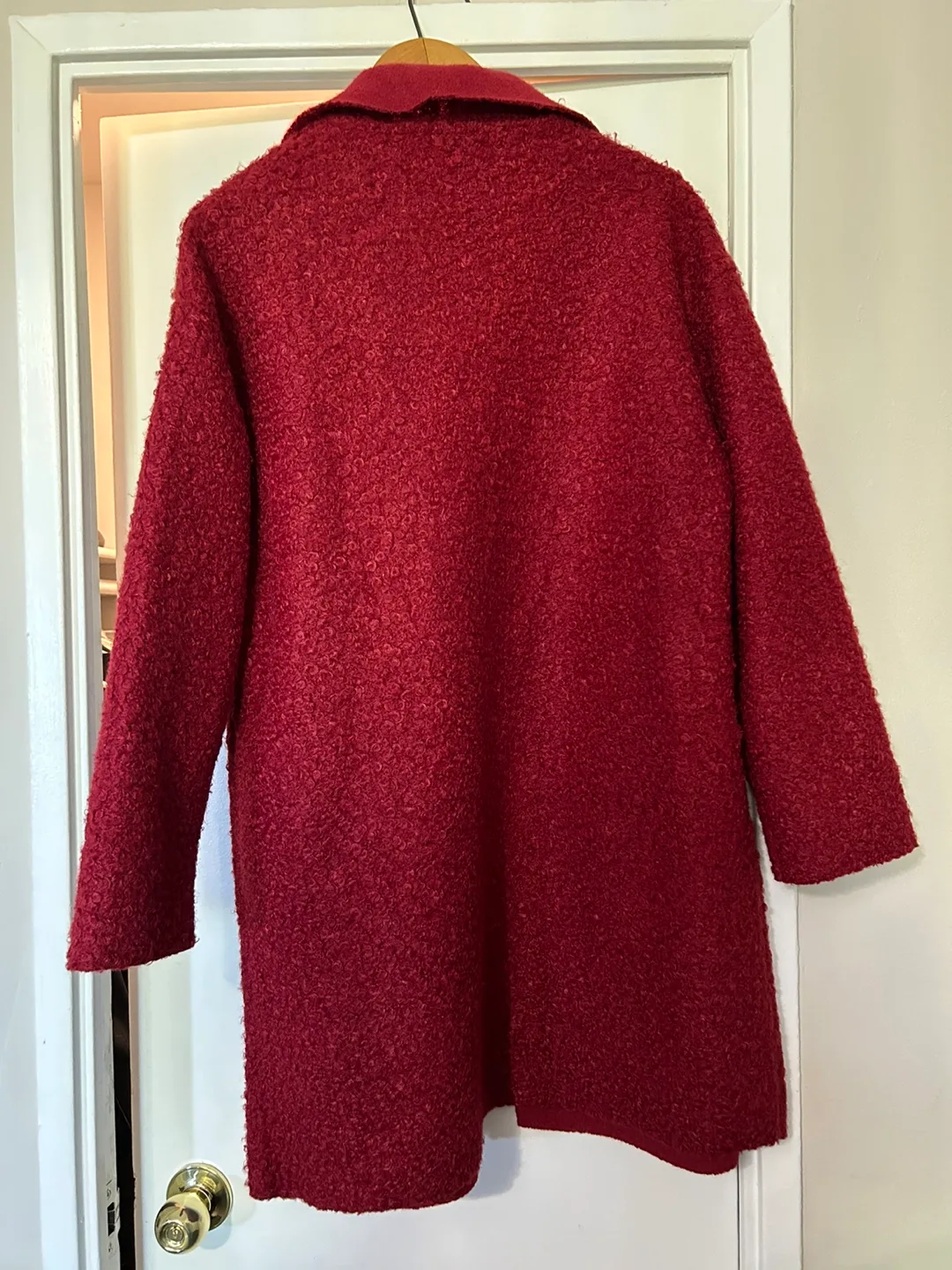 Red Fuzzy Coat image indicator(2)