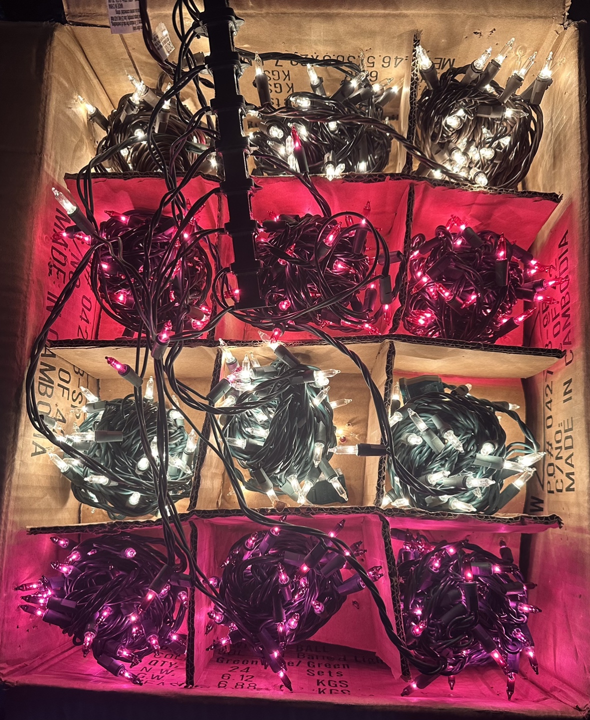 Christmas Lights 🎄
