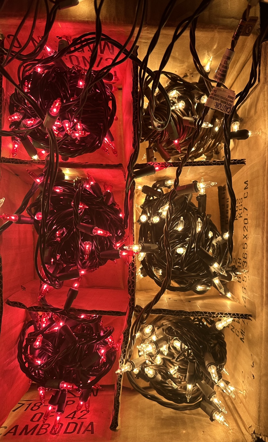 Christmas Lights 🎄 - photo 5