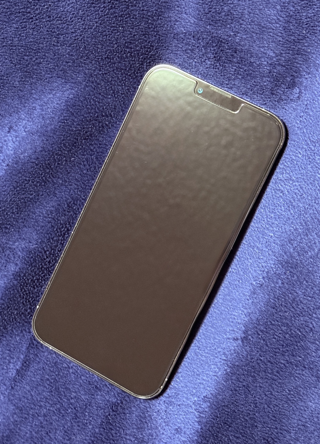 iPhone 12 Pro Max - 128GB - Sierra Blue - photo 3