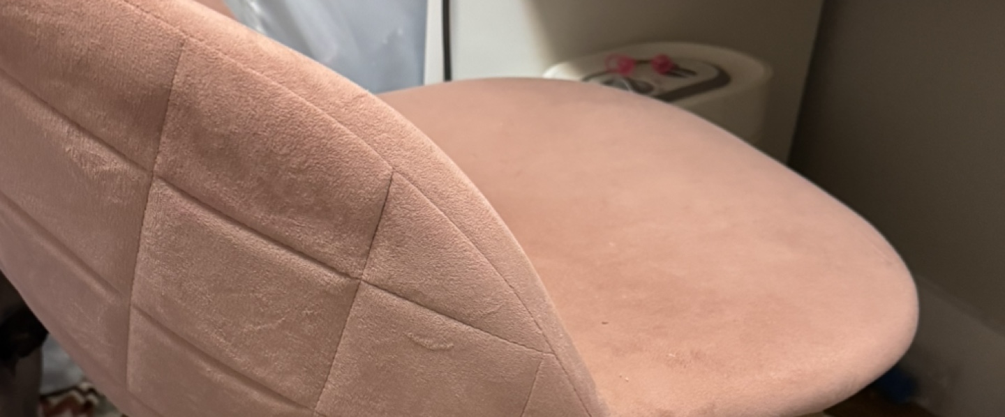 Pink Velvet Dining Chair MOVE IN SALE - photo 3
