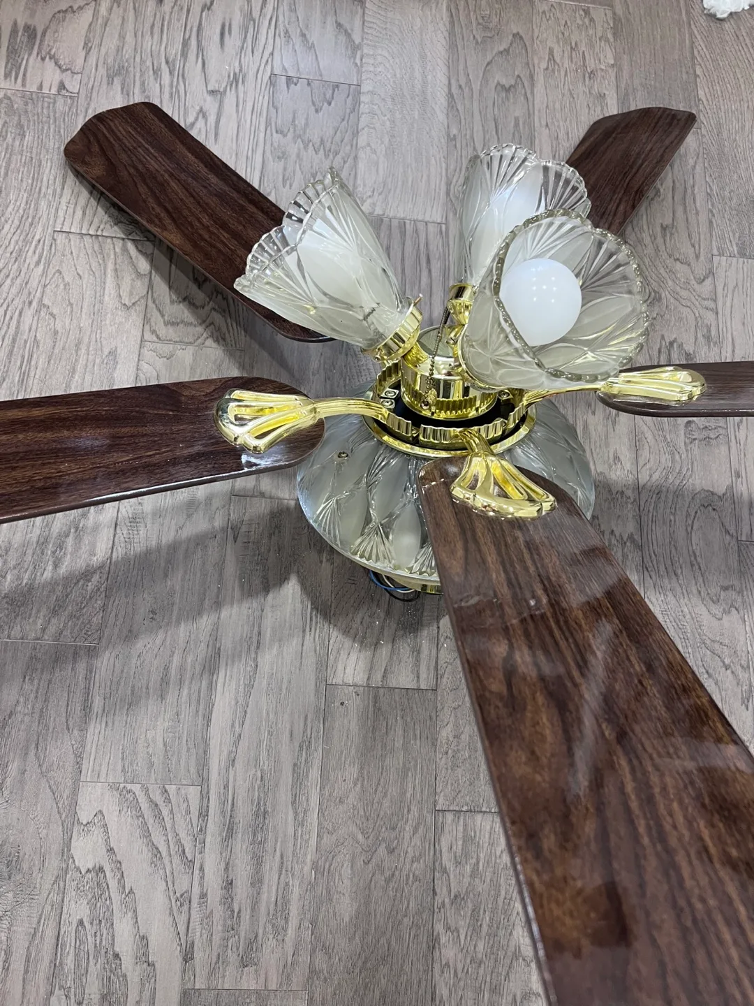 Ceiling Fan with Light image indicator(3)