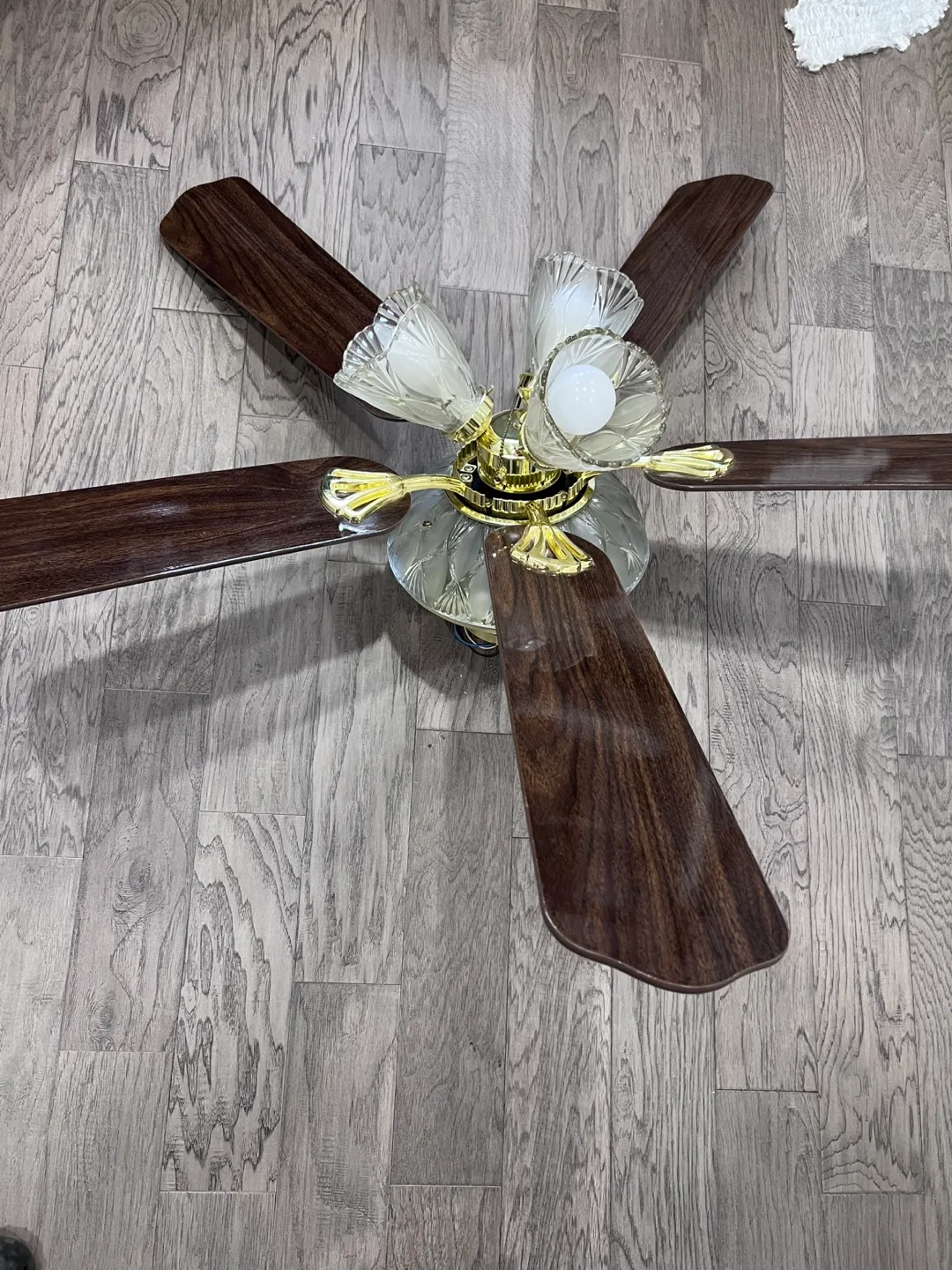 Ceiling Fan with Light image indicator(4)