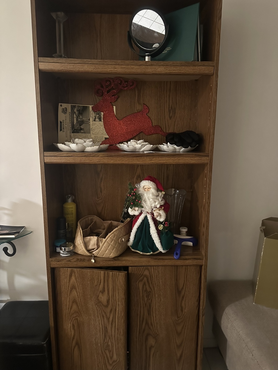 Wooden bookcase with doors
