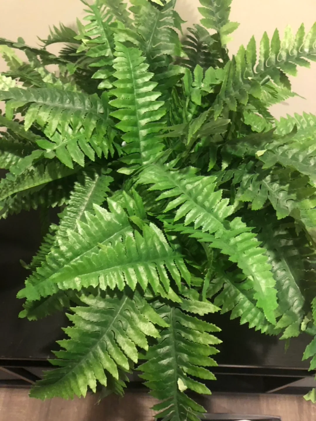 Faux fern in ceramic/stone pot image indicator(3)