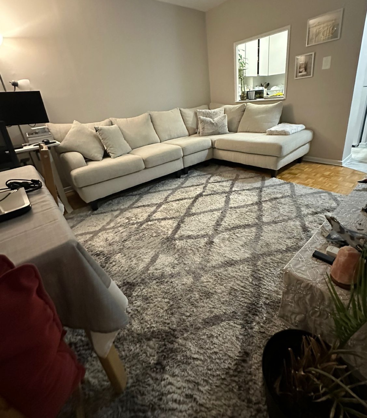 Grey and White Shag Area Rug
