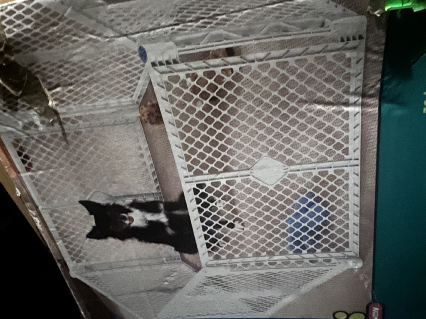 Pet Yard Containment Pen