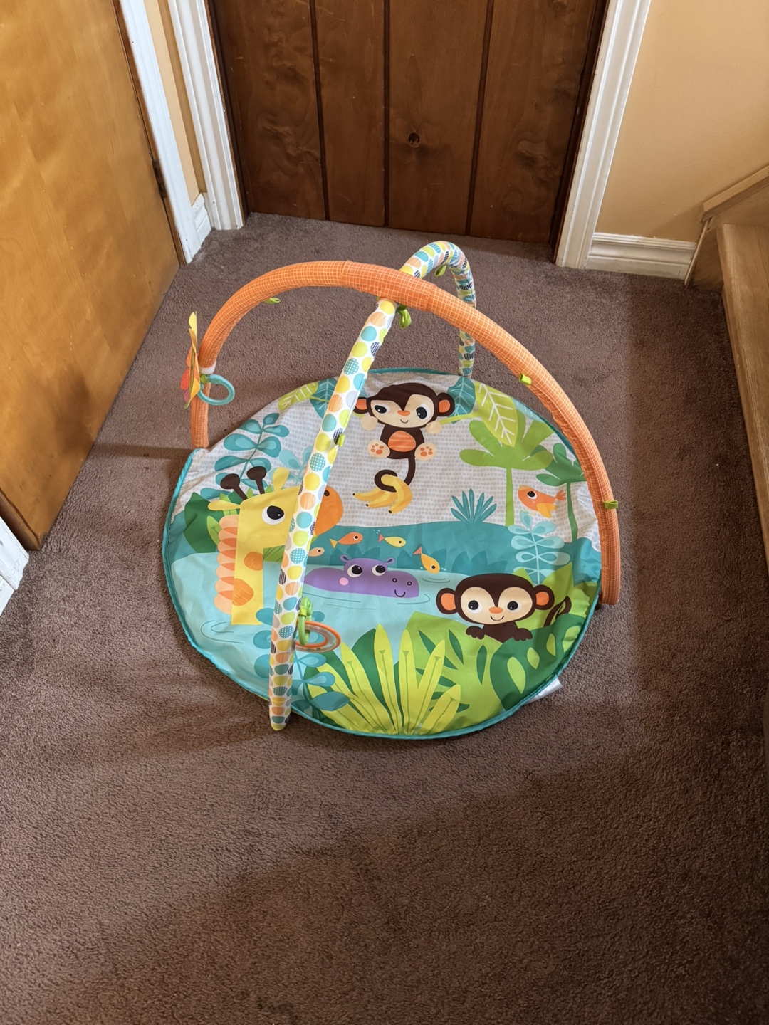 Baby Playmat with Arches
