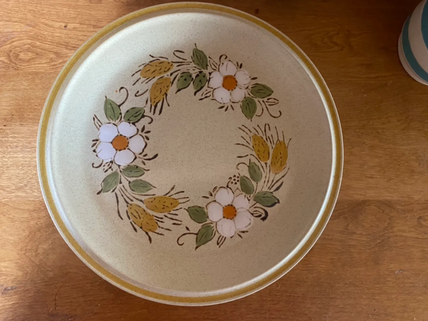Hearthside Garden Festival Dinner Plates - Set of 6 thumbnail