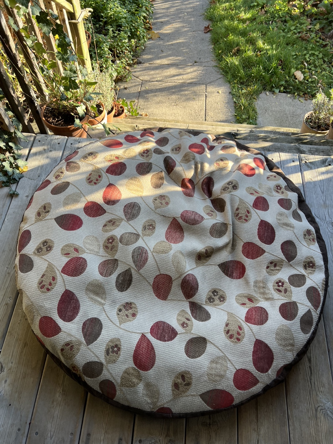 Free Dog Beds