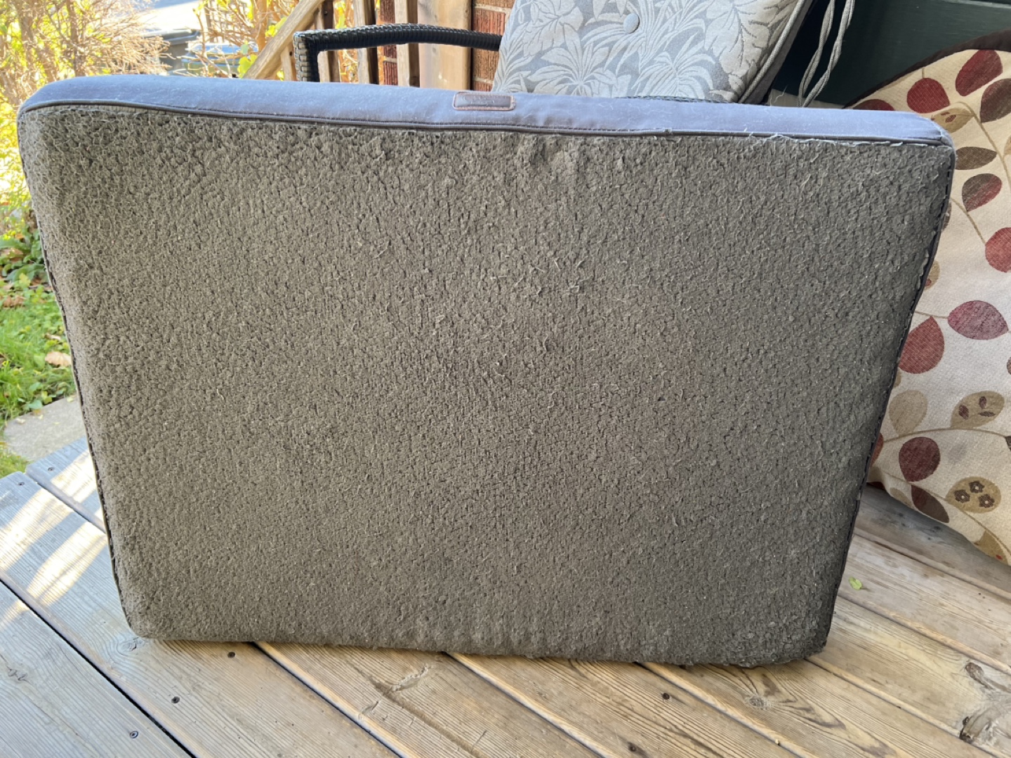 Free Dog Beds - photo 3