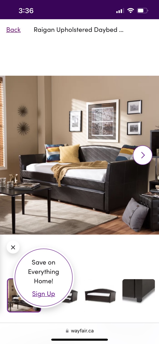 Raigan Upholstered Daybed with Trundle