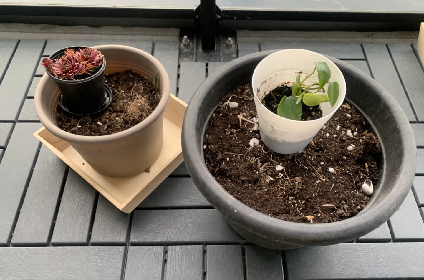 Two Empty Plant Pots thumbnail