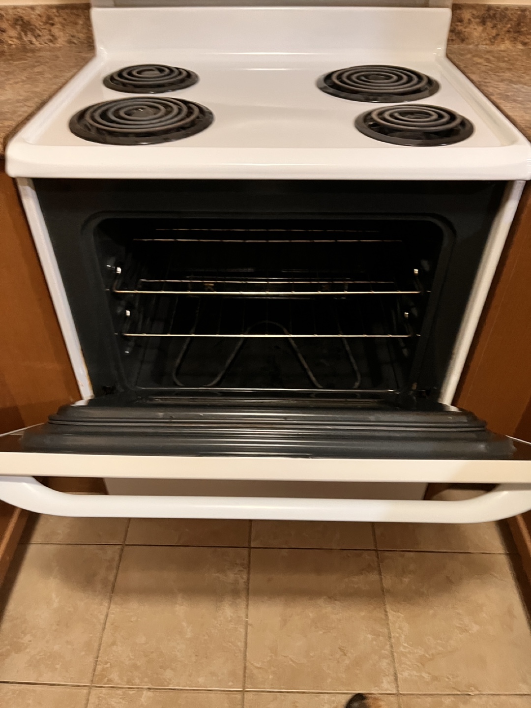 Frigidaire Fridge, Stove and Oven and Dishwasher - photo 4