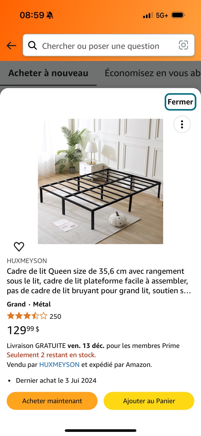 Queen Size Metal Bed Frame - photo 2