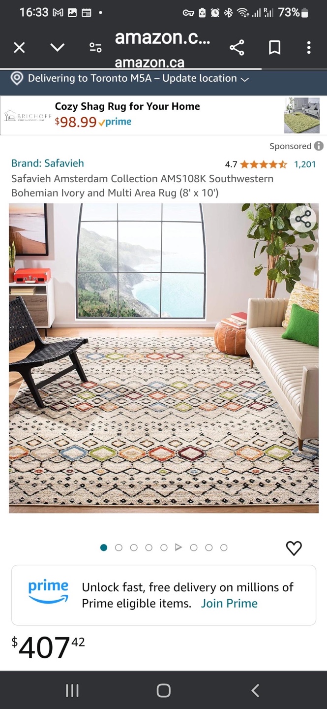 Safavieh Southwestern Bohemian Area Rug