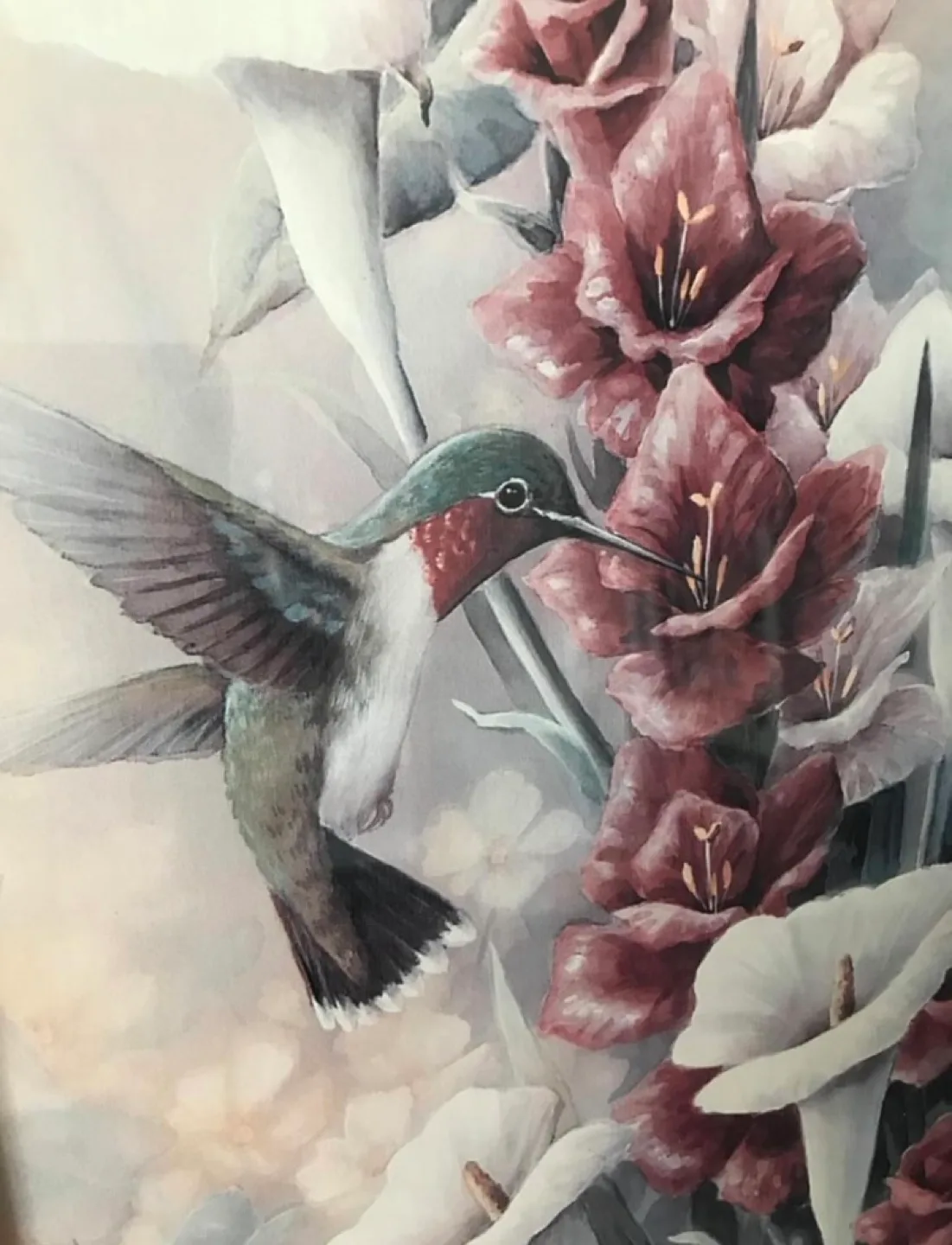 Framed Hummingbird Print image indicator(2)