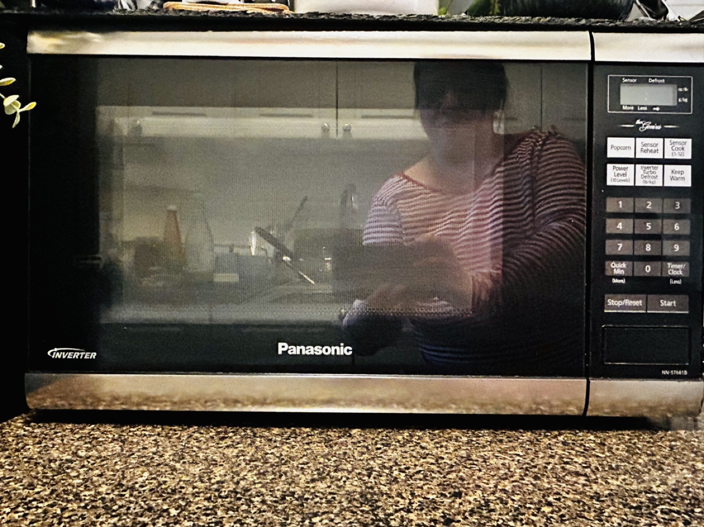 Panasonic Microwave