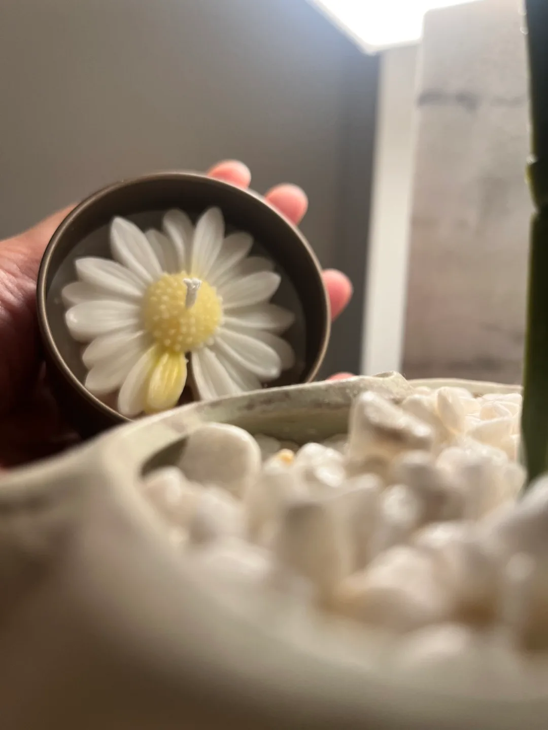 Daisy Flower Scented Candle (Tin) image indicator(2)