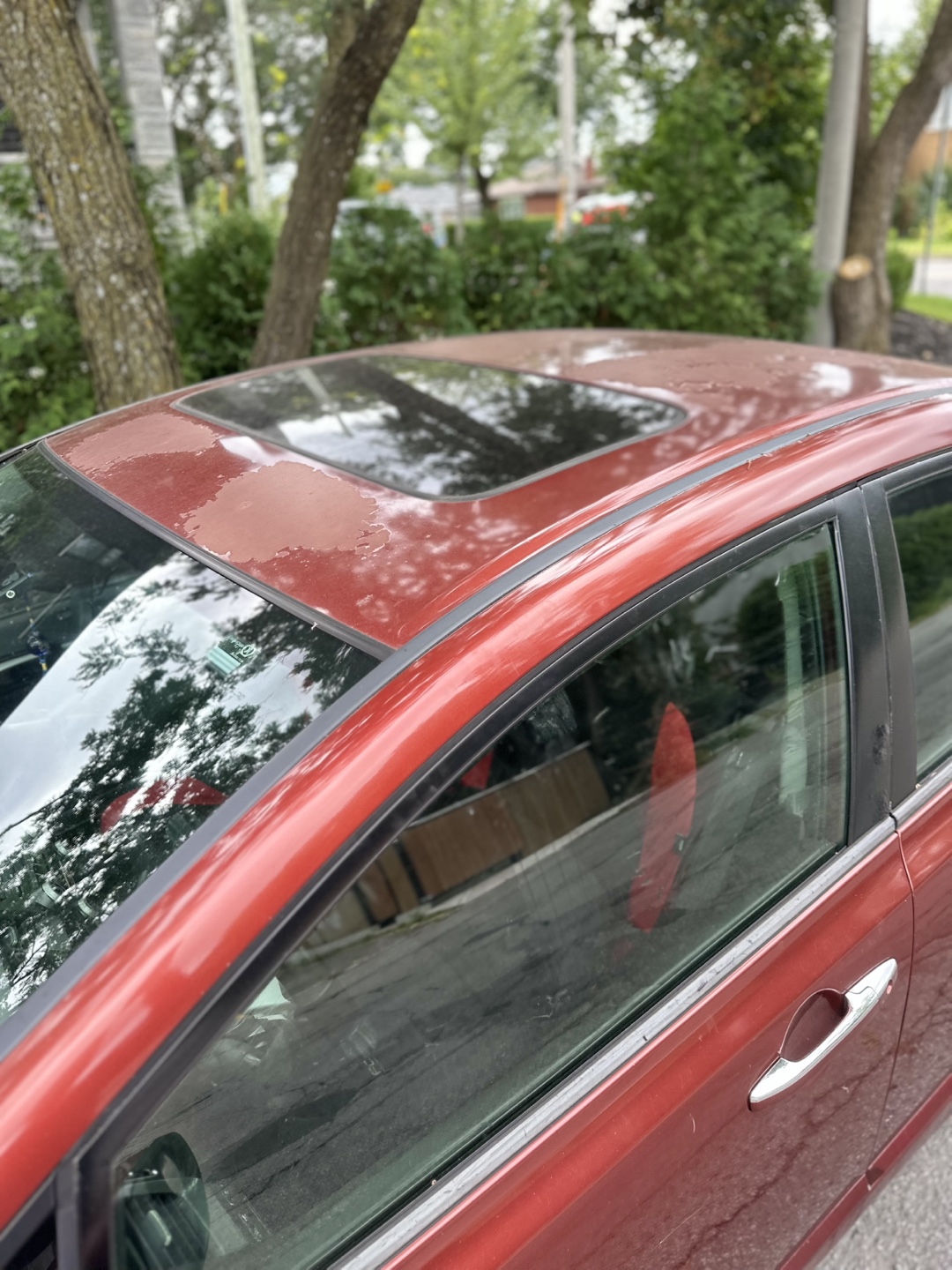 2006 Acura CSX - photo 4