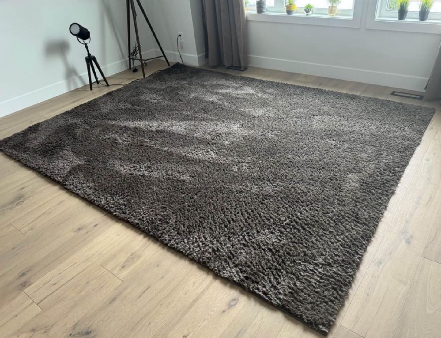 Safavieh August Shag Rug - photo 2