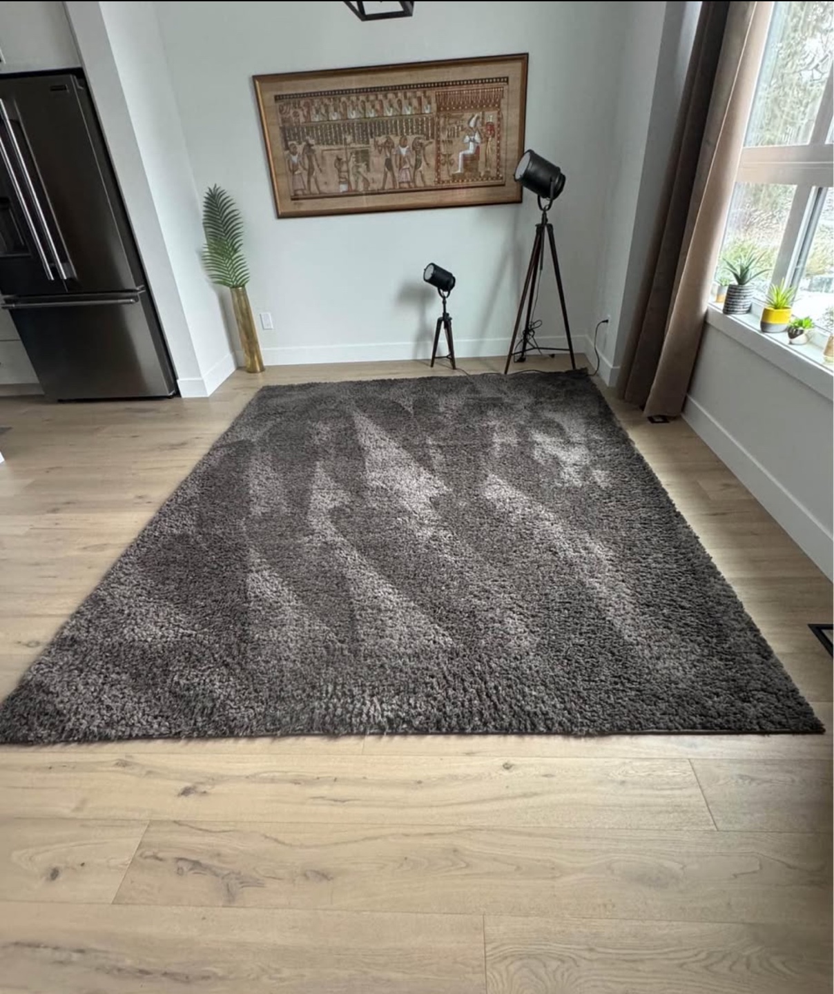 Safavieh August Shag Rug