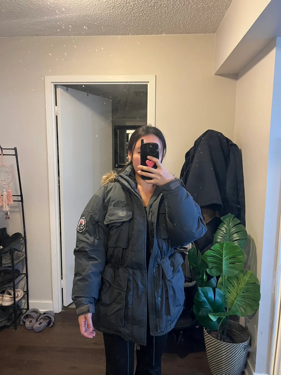 The North Face North Pole Project Parka for women image indicator(2)