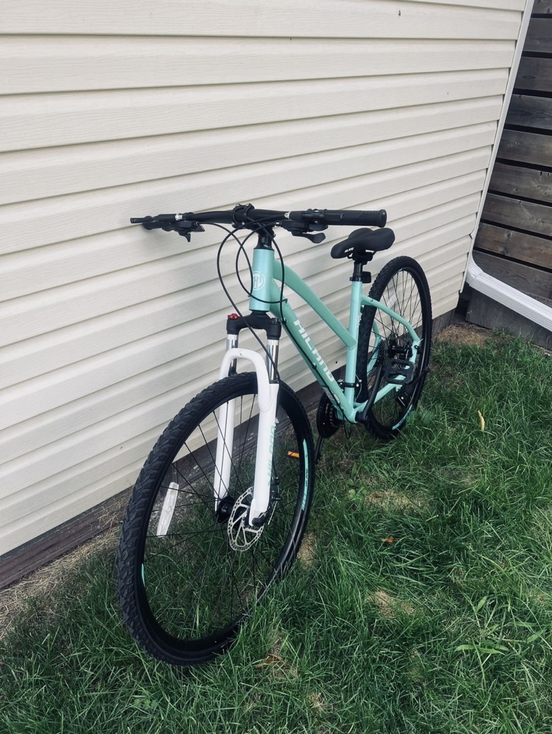 Womens Bike 29