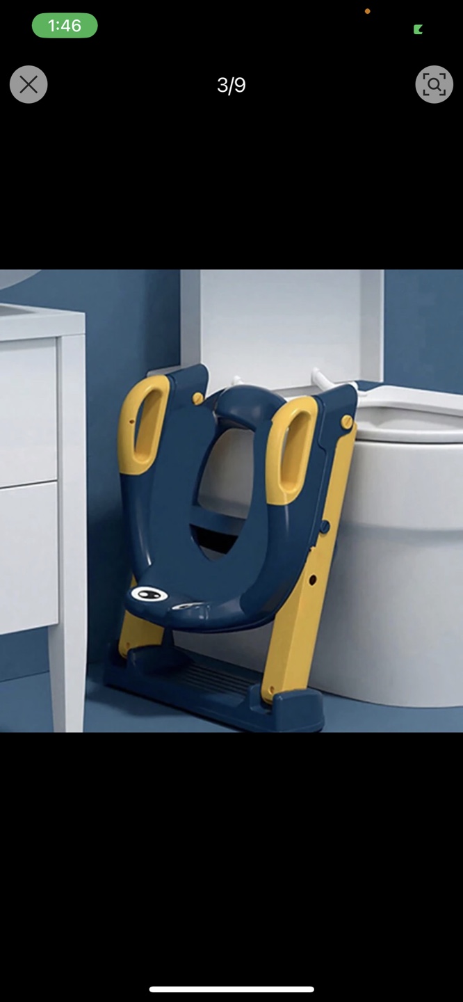 Frog kids toilet