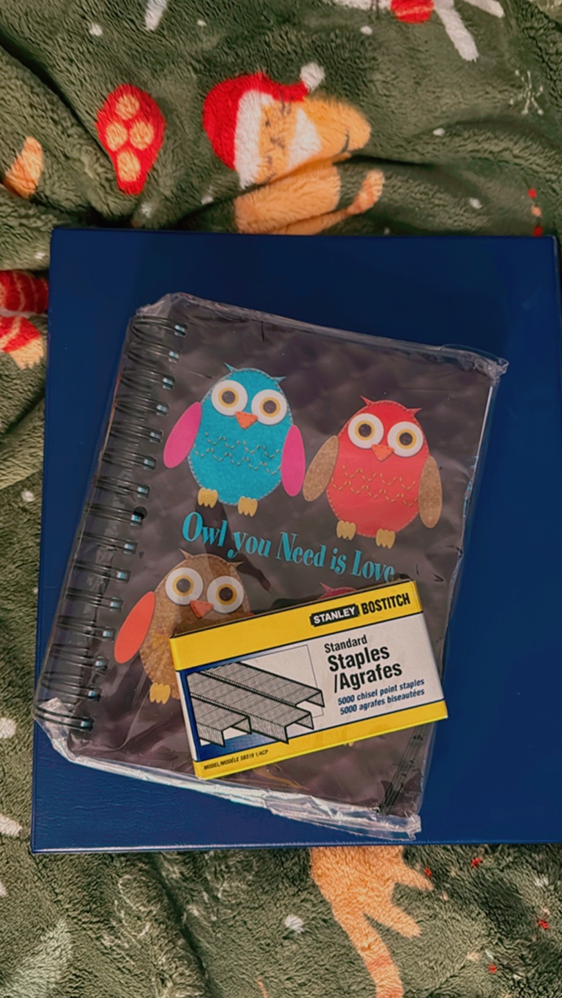 Owl You Need is Love Notebook and Staples