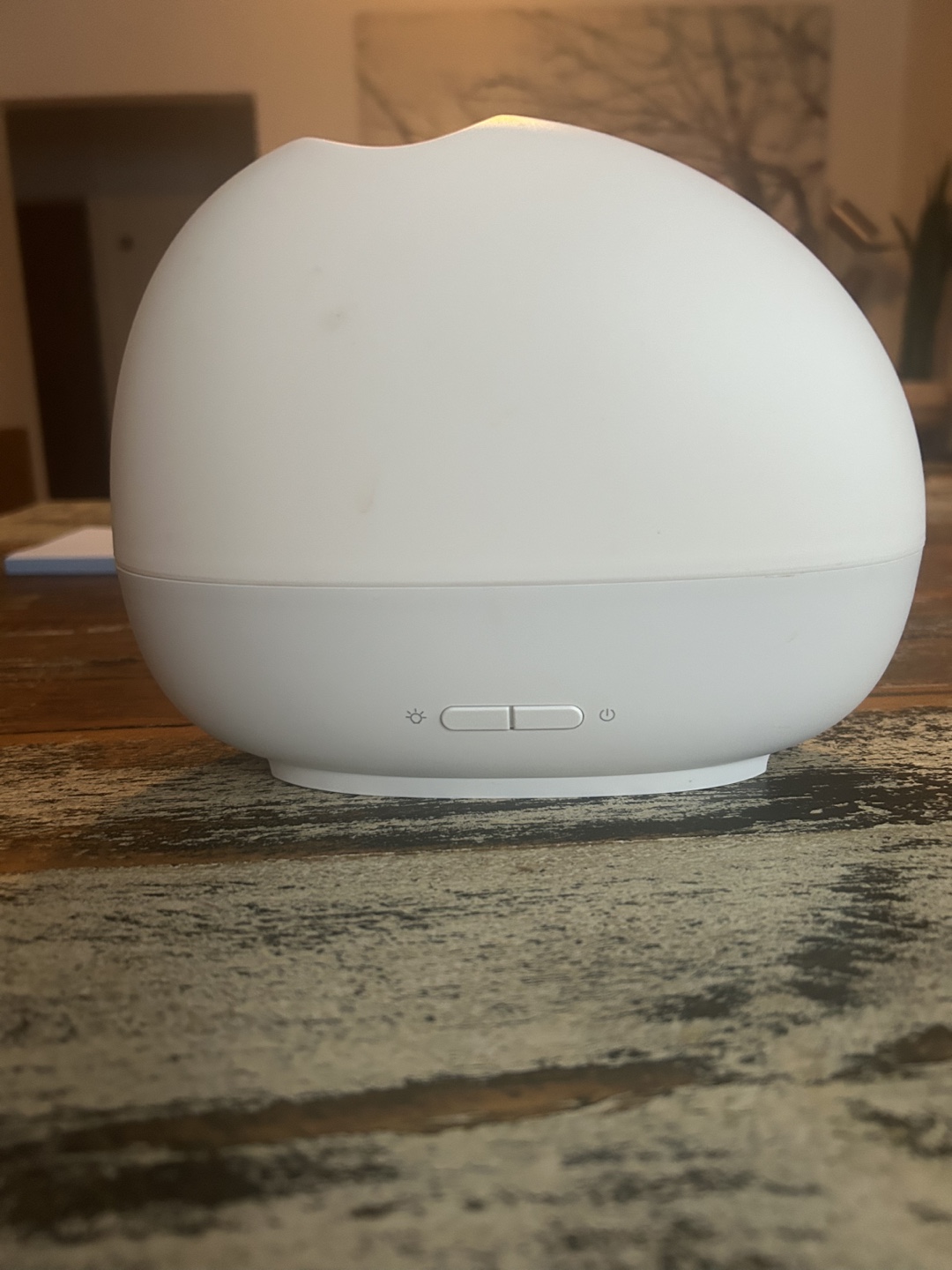 Essential Oil Diffuser