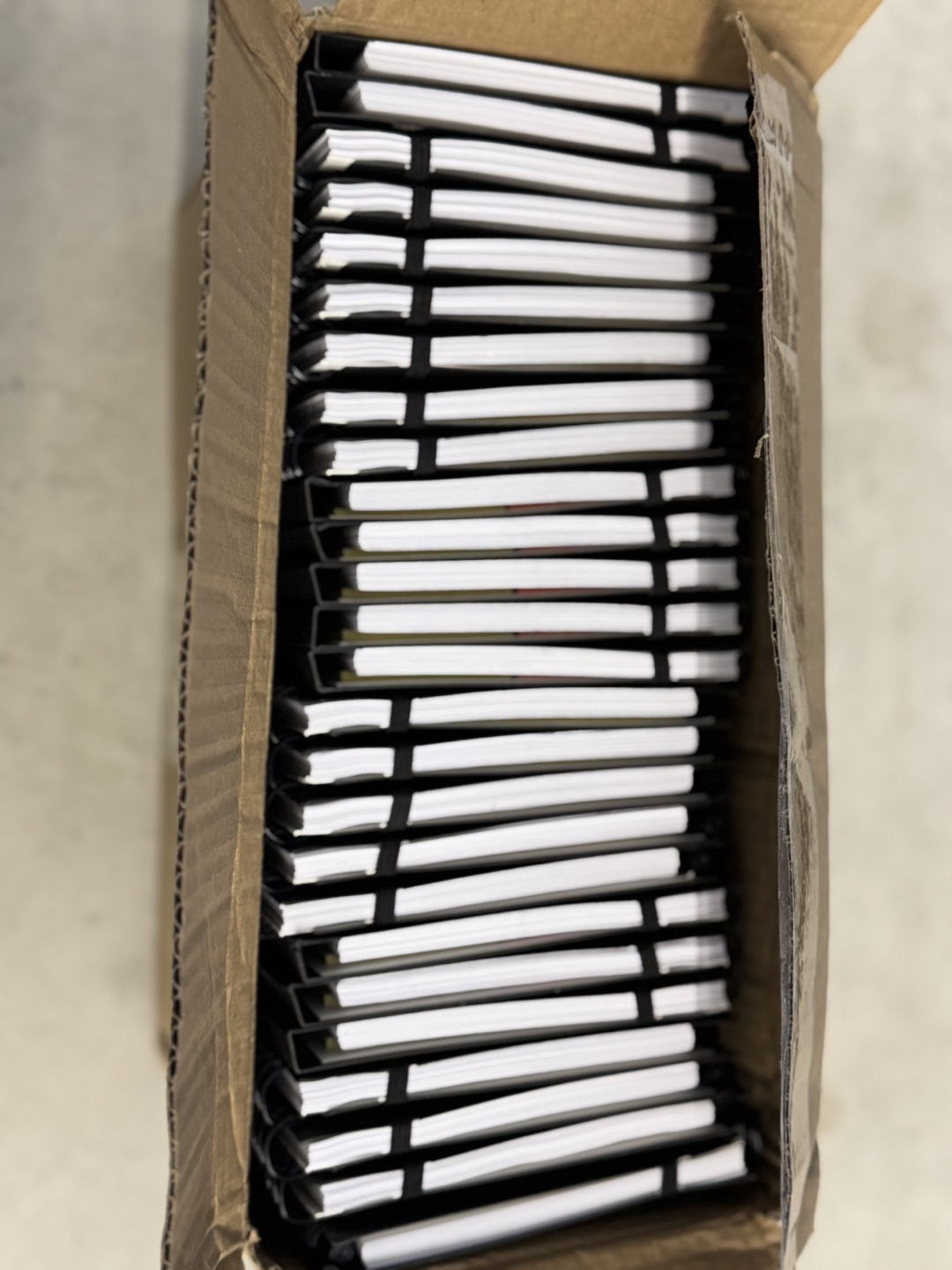 Notebook with Sticky Notes and Pen (25 pieces)