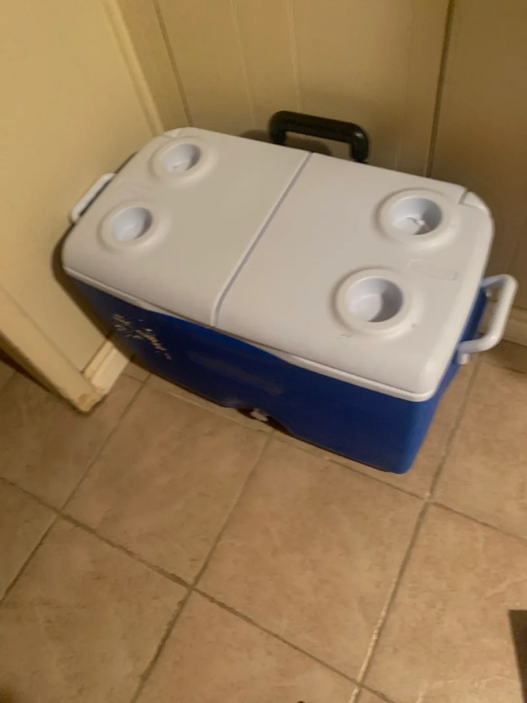 Large Cooler with Wheels thumbnail