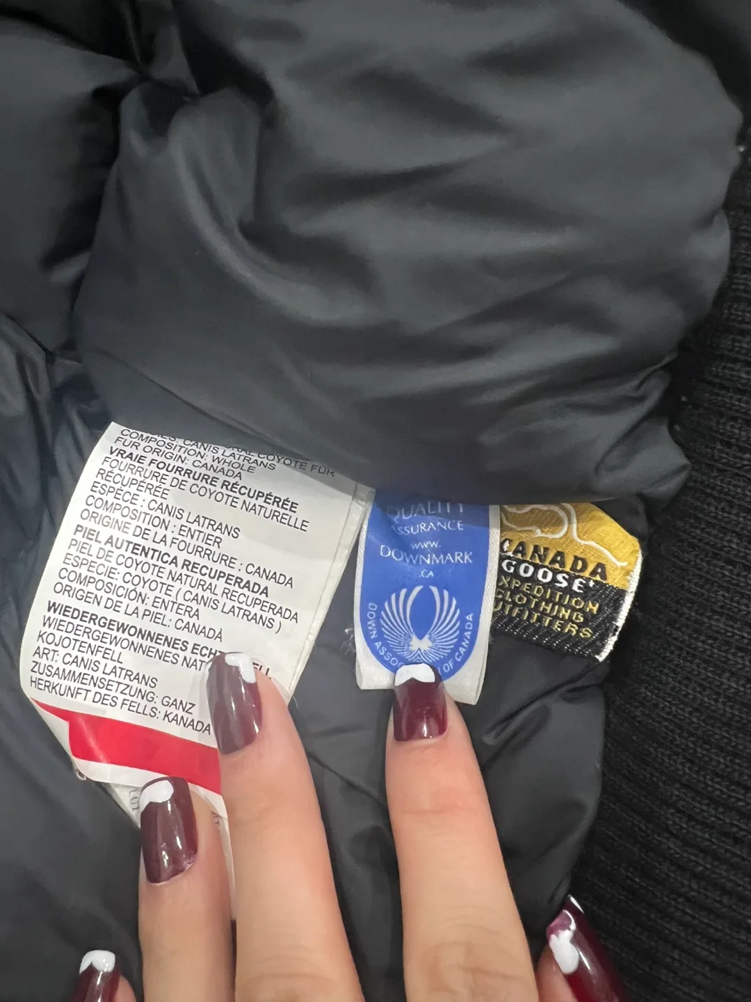 Canada Goose Bomber Jacket xs image indicator(8)