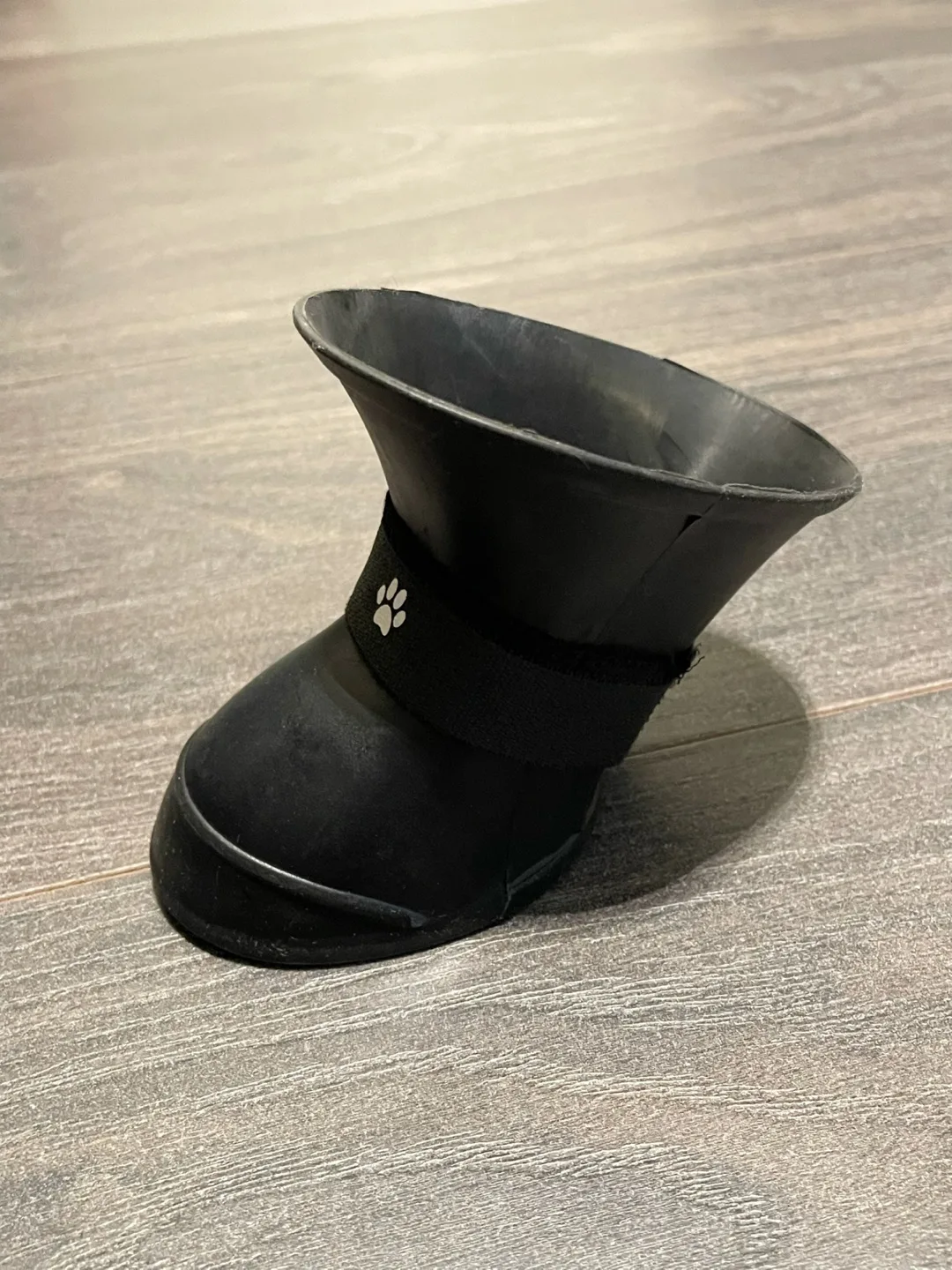 Excellent Condition Pet Brushes, Bowls, Accessories image indicator(7)