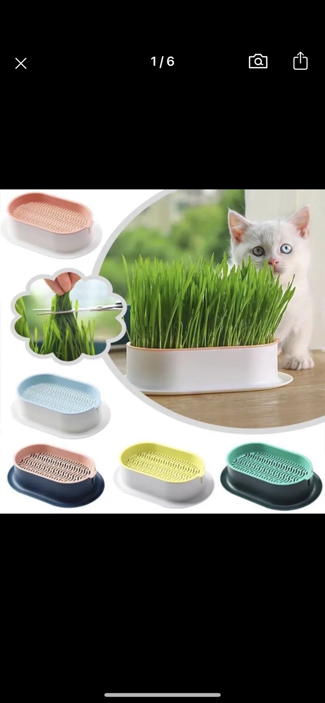 Cat Grass Planter