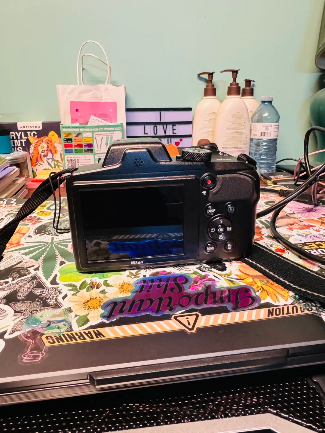 Nikon Coolpix Digital Camera image indicator(2)