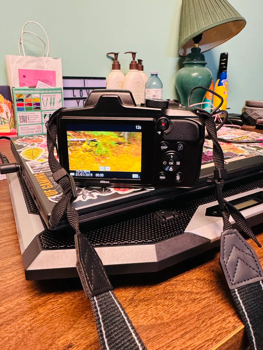 Nikon Coolpix Digital Camera image indicator(3)