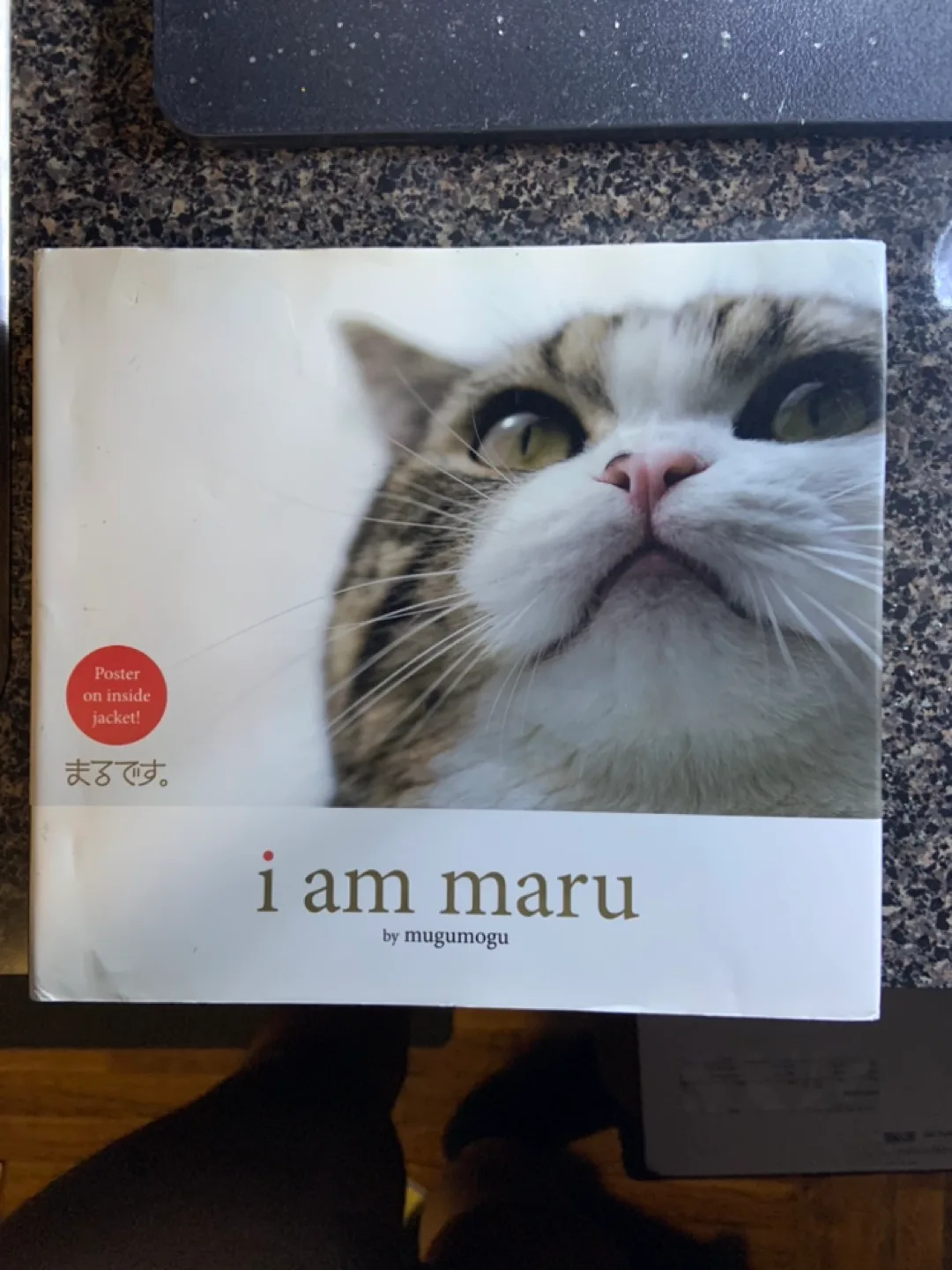 I Am Maru Books by Mugumogu cat DVD Japan ed #ThriftyPicks image indicator(4)