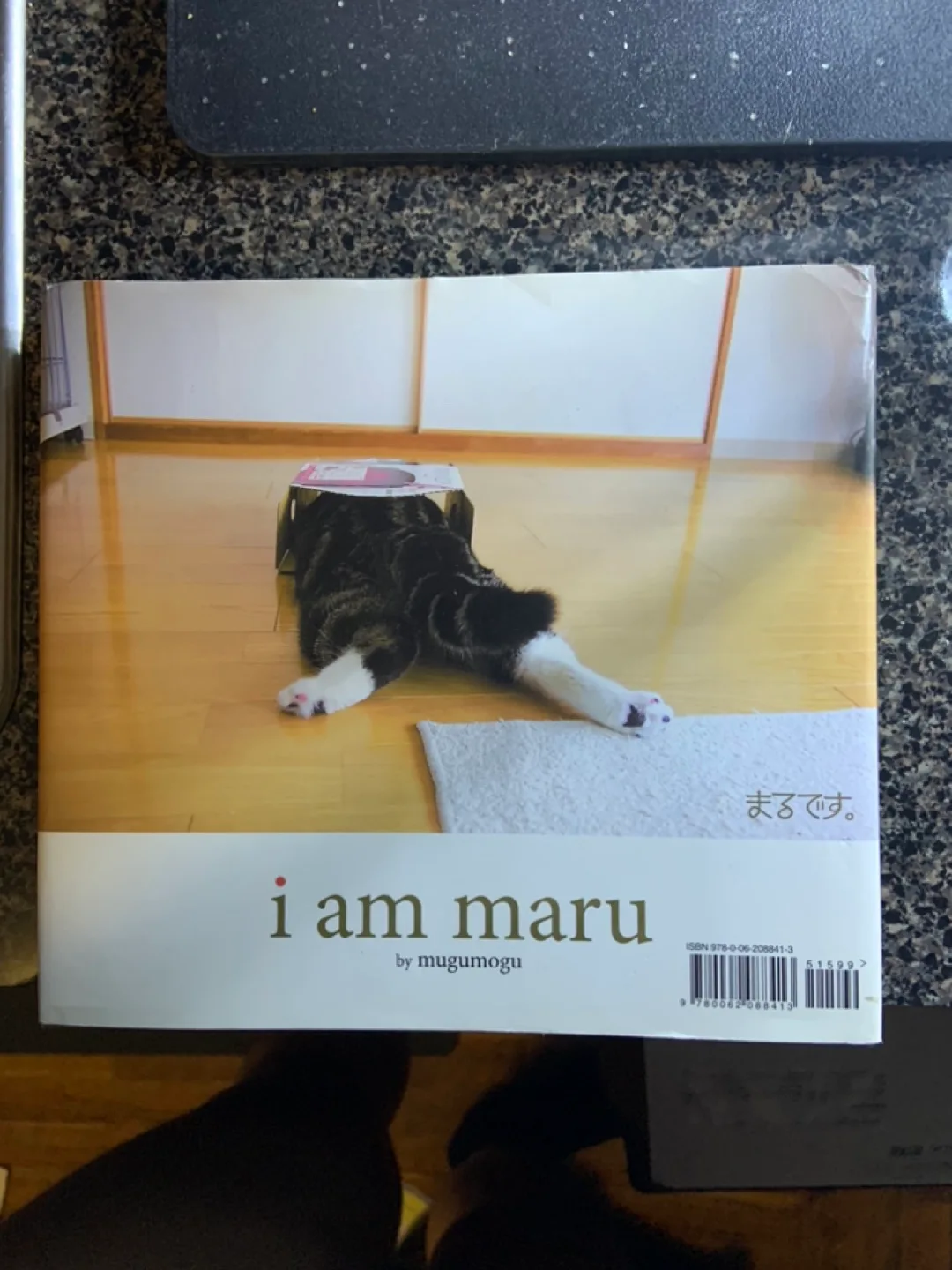 I Am Maru Books by Mugumogu cat DVD Japan ed #ThriftyPicks image indicator(5)