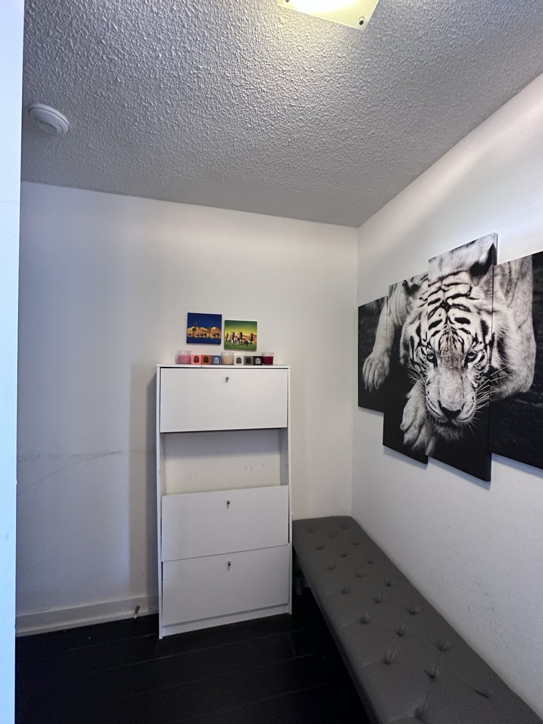 Tiger Canva 4 pieces