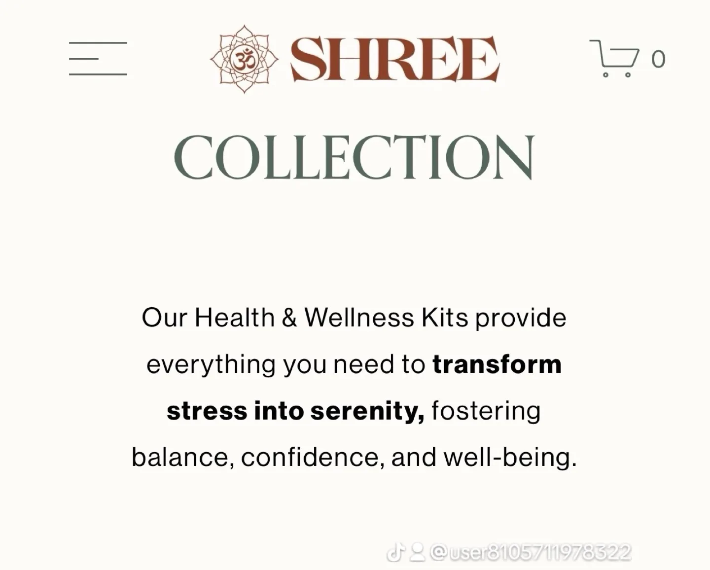 Shree Collection Mini Health and Wellness Kit image indicator(2)