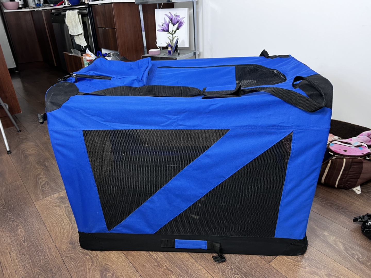 Blue Collapsible Pet Crate - photo 4