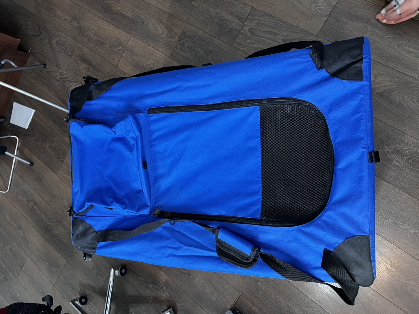 Blue Collapsible Pet Crate - photo 5
